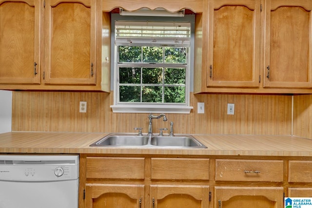 kitchen with white dishwasher and sink