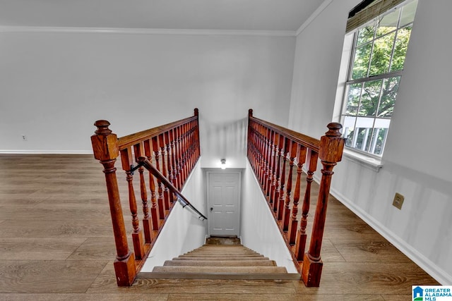 stairway with crown molding and hardwood / wood-style flooring