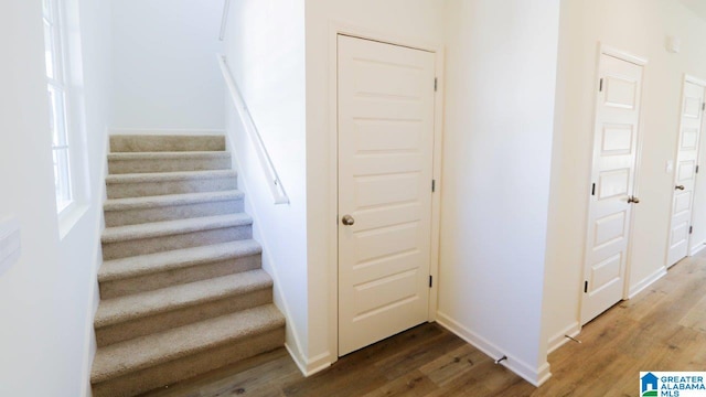 stairs featuring hardwood / wood-style flooring