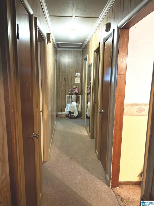 hall featuring wooden walls, carpet flooring, and ornamental molding