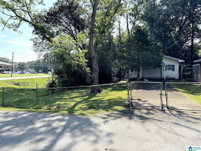 view of front facade with fence, a front lawn, and a gate