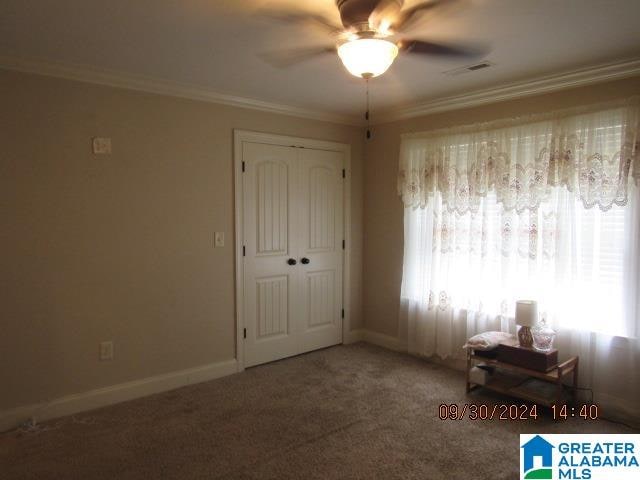 unfurnished bedroom with ceiling fan, a closet, carpet flooring, and crown molding