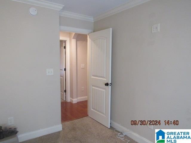 spare room with light colored carpet and crown molding