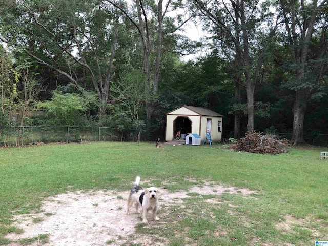 view of yard featuring a shed