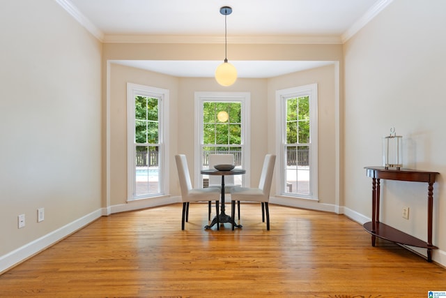 dining room with light hardwood / wood-style flooring, a wealth of natural light, and crown molding