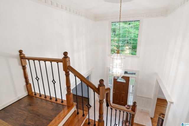 stairs with wood-type flooring and an inviting chandelier