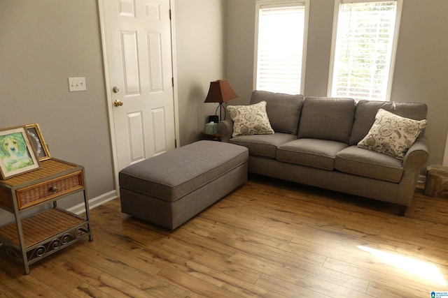 living room featuring wood-type flooring