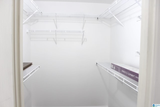 view of spacious closet