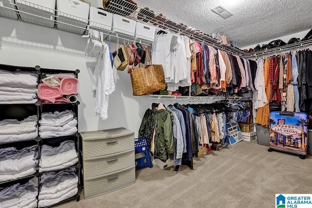 spacious closet with light carpet