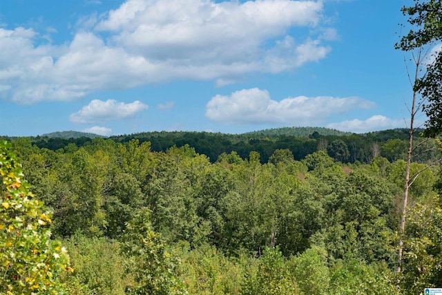 Listing photo 3 for 0 Landfill Rd Unit 1, Ashland AL 36251