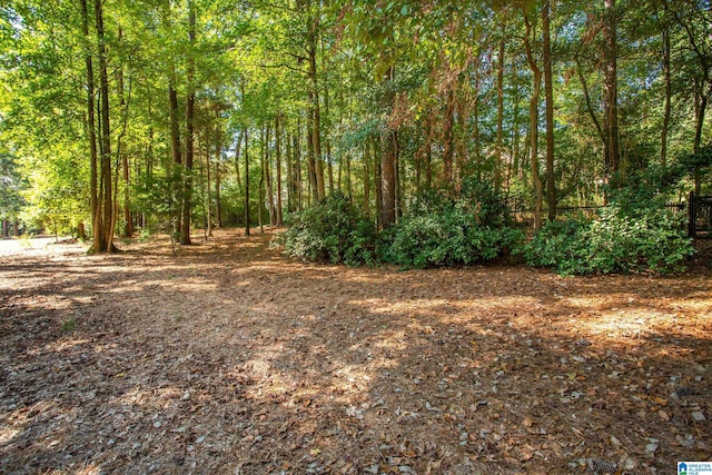 view of yard with a wooded view