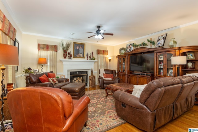 living room featuring ceiling fan, light hardwood / wood-style flooring, and crown molding