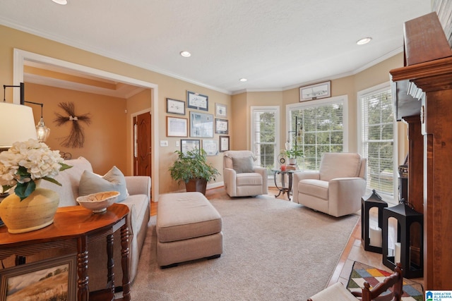 living area featuring plenty of natural light and crown molding