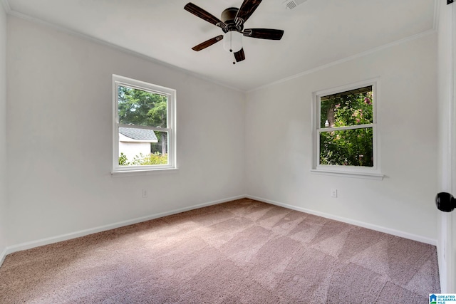 empty room featuring ceiling fan, carpet flooring, and crown molding