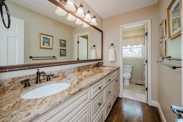 bathroom with vanity, toilet, and hardwood / wood-style flooring