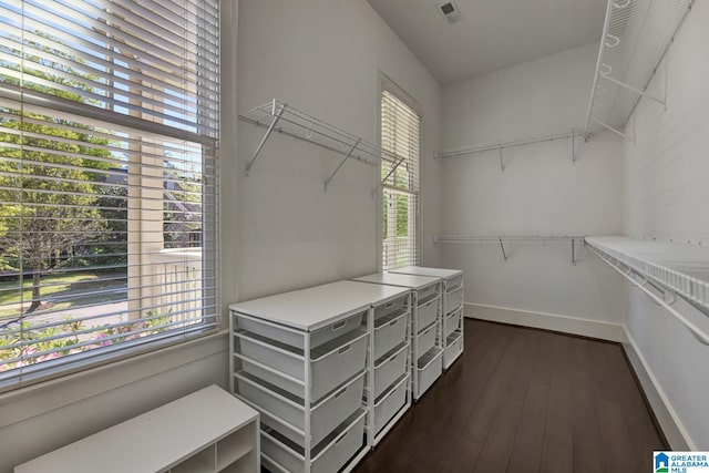 walk in closet with dark hardwood / wood-style floors