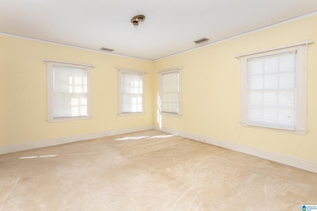 spare room with plenty of natural light, ornamental molding, and carpet