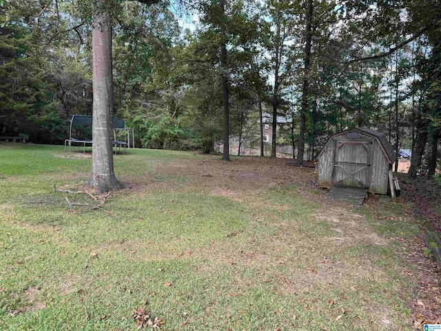 view of yard featuring a trampoline and a shed