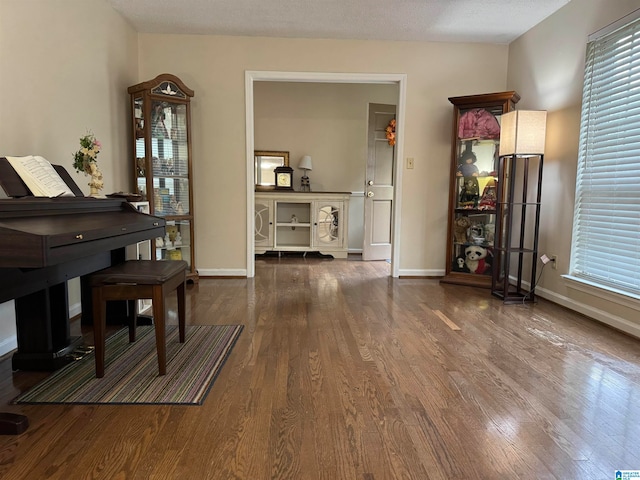 misc room with wood-type flooring and a textured ceiling