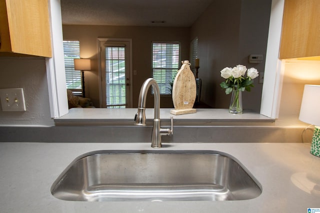 interior details with sink