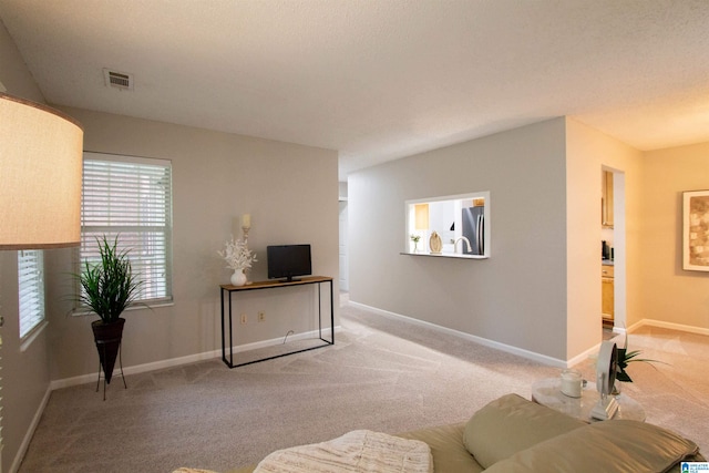 living area featuring light colored carpet