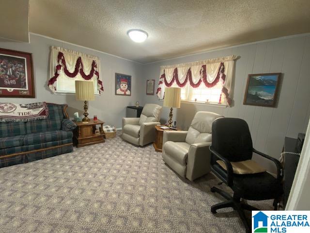 interior space with crown molding, carpet, and a textured ceiling