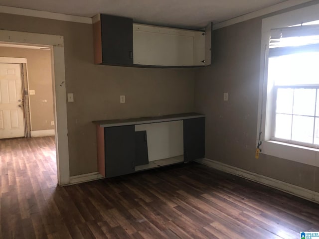 kitchen featuring ornamental molding and dark hardwood / wood-style floors