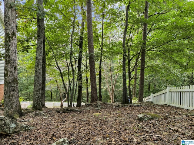 view of local wilderness