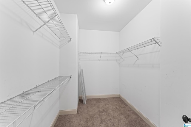 spacious closet with light carpet