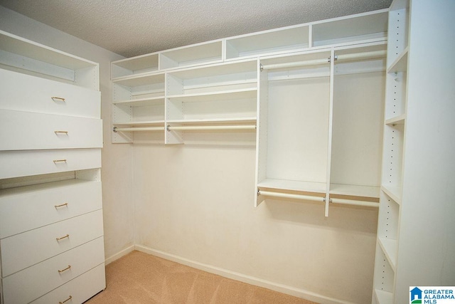 walk in closet featuring light colored carpet