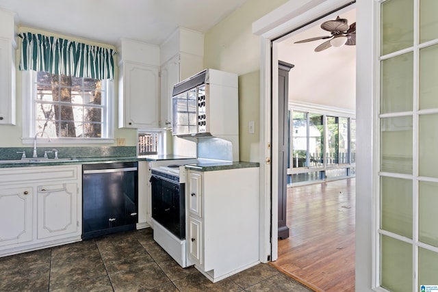 kitchen with dishwasher, dark wood-type flooring, sink, and a healthy amount of sunlight