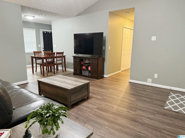 living room featuring hardwood / wood-style flooring and a textured ceiling