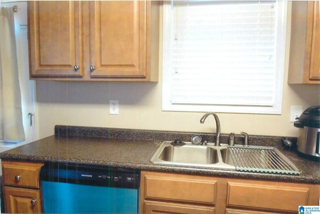 kitchen with dishwasher and sink