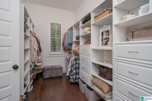 spacious closet featuring dark hardwood / wood-style flooring