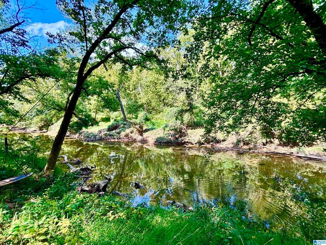 view of local wilderness with a water view