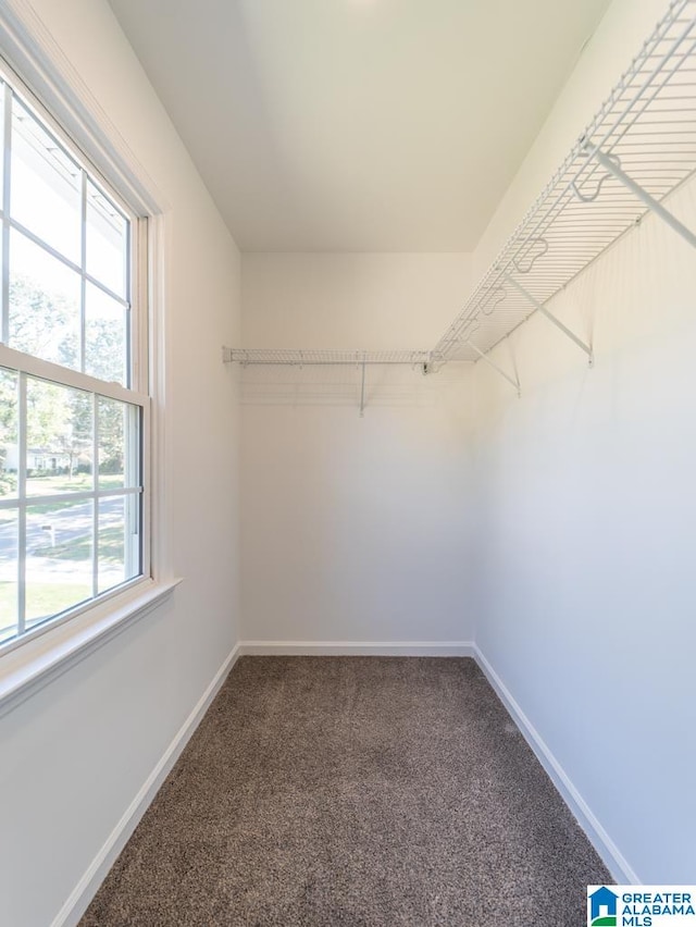 spacious closet with carpet