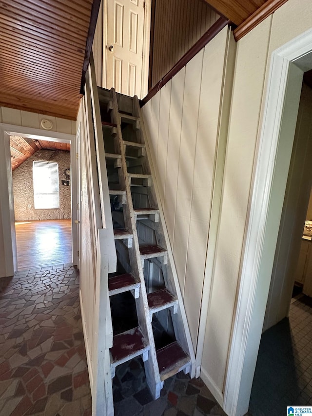 stairway with wooden walls and hardwood / wood-style floors