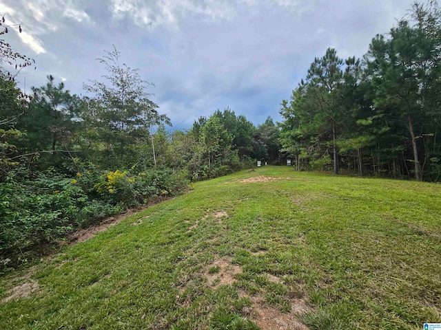 Listing photo 3 for 94 County Road 258 Unit 0, Clanton AL 35046