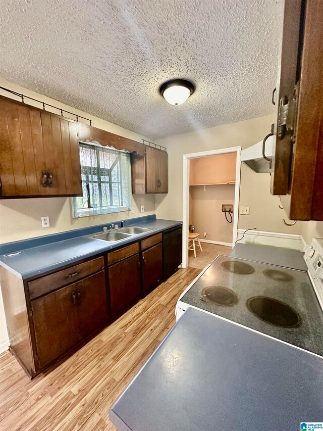 kitchen with range, black dishwasher, a textured ceiling, light hardwood / wood-style flooring, and sink