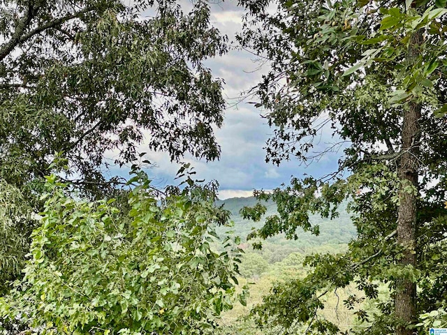 view of local wilderness featuring a mountain view