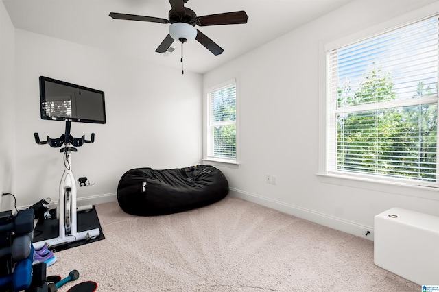 workout area with carpet floors, ceiling fan, and plenty of natural light