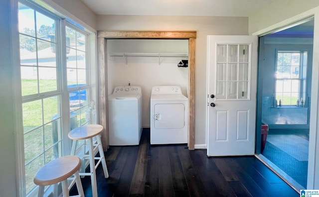 clothes washing area with washing machine and dryer, dark hardwood / wood-style flooring, and plenty of natural light