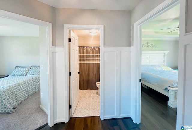 corridor featuring crown molding and dark hardwood / wood-style flooring