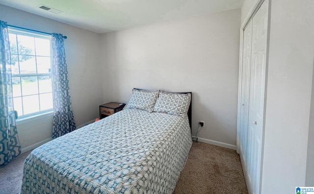 bedroom with a closet and carpet