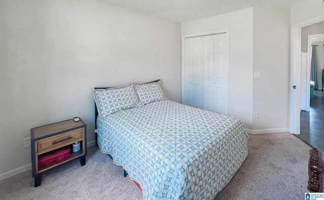 bedroom featuring carpet floors and a closet