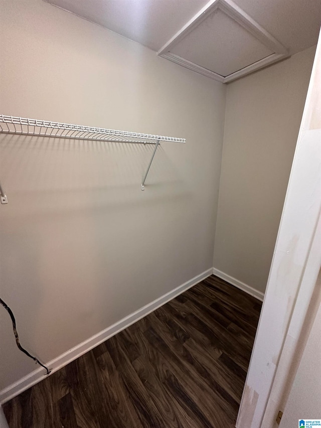 walk in closet featuring dark wood-type flooring