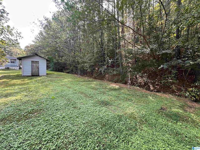 view of yard featuring a shed