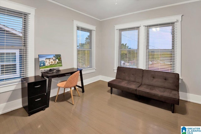 office space featuring wood-type flooring, crown molding, and a wealth of natural light