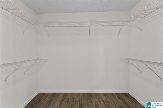 walk in closet featuring dark hardwood / wood-style flooring