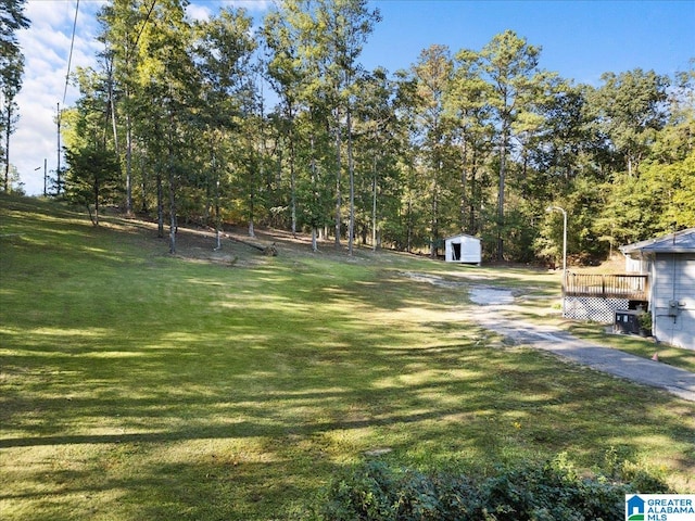 view of yard with a storage unit